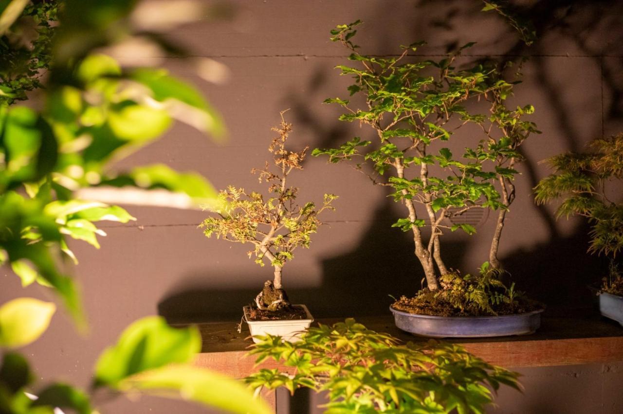 Il Giardino Segreto Apartment Carbognano ภายนอก รูปภาพ