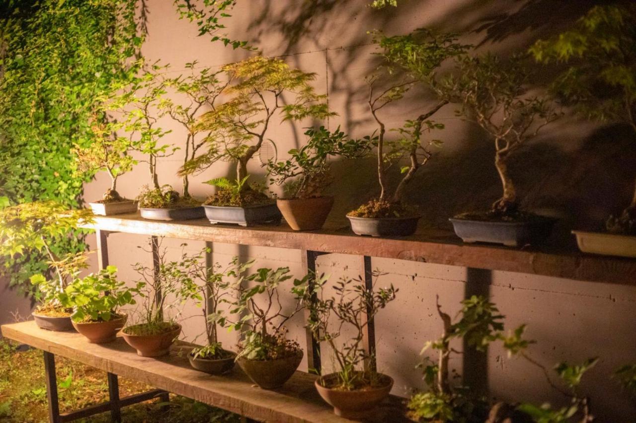 Il Giardino Segreto Apartment Carbognano ภายนอก รูปภาพ