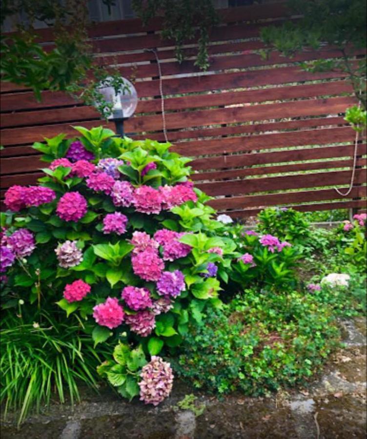 Il Giardino Segreto Apartment Carbognano ภายนอก รูปภาพ