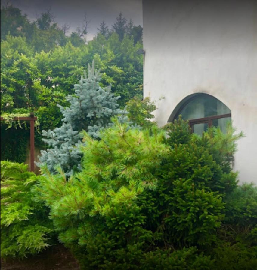 Il Giardino Segreto Apartment Carbognano ภายนอก รูปภาพ